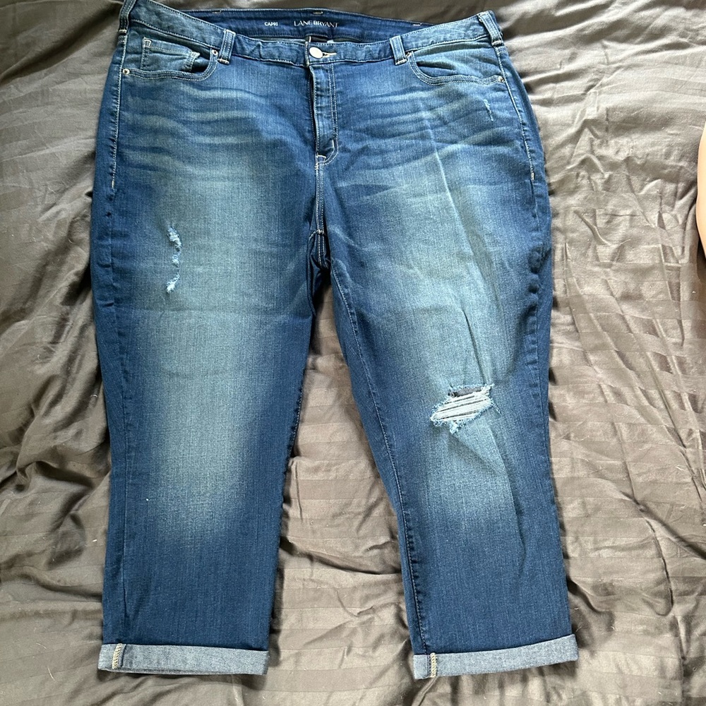 Lane Bryant Jeans 24